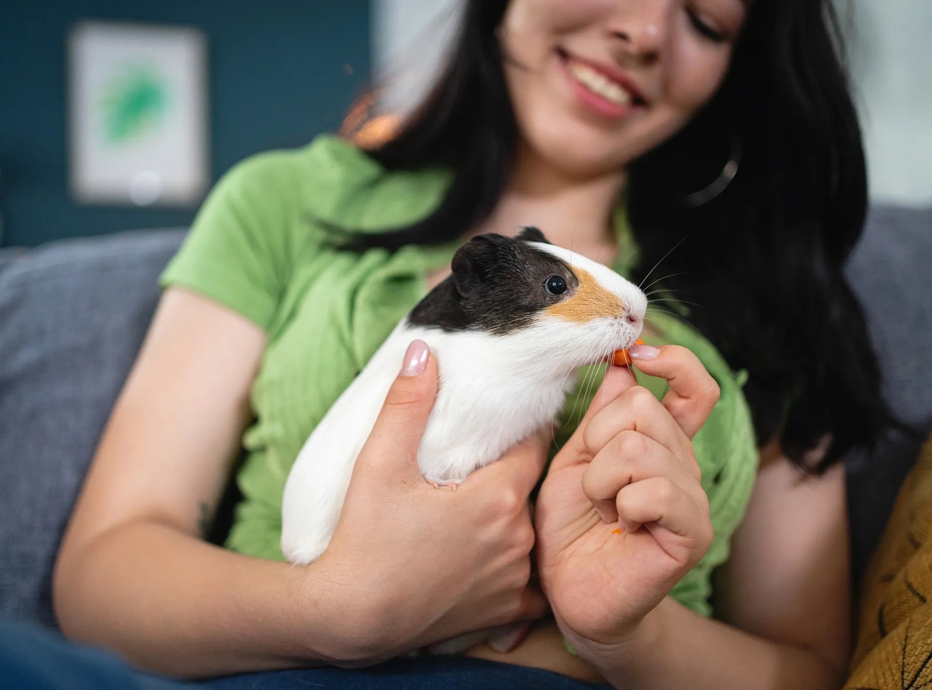 Small Animal Care